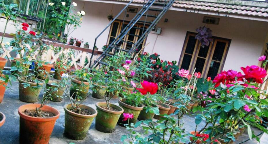 Dew Drops Home Stay, Wayanad 3